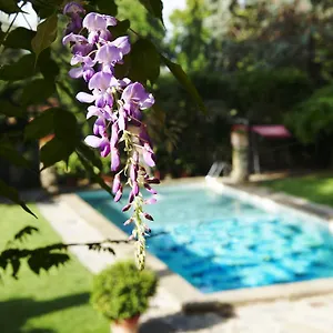 4* Hotel Park Palace